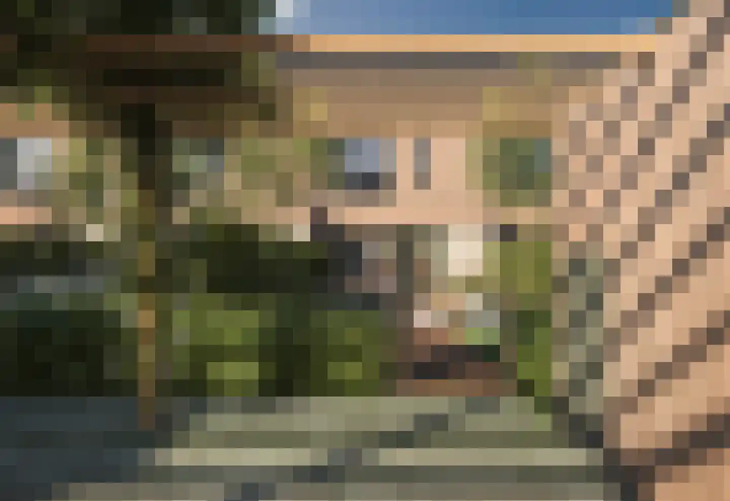It Reidhintsje 13 Leeuwarden foto 2