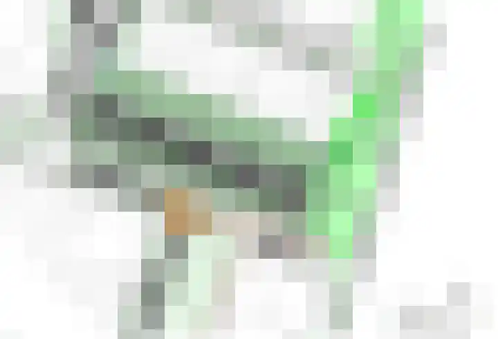 It Reidlân 47 Joure thumbnail 5