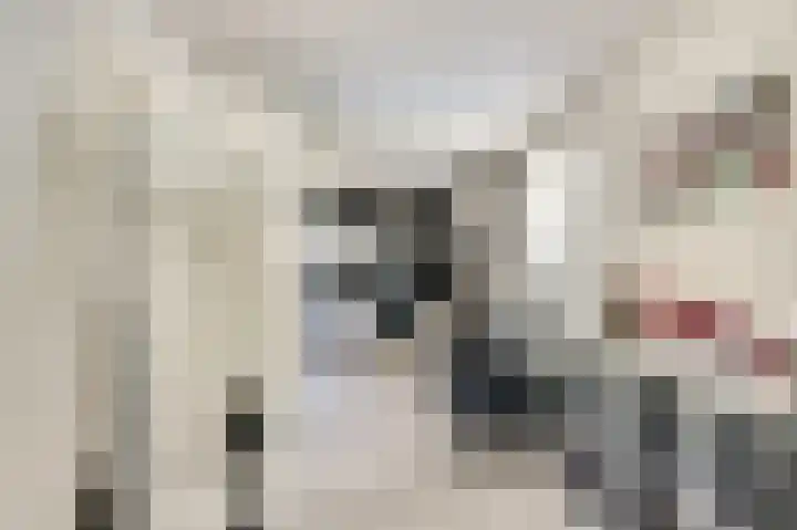 It Roster 1 Ingwierrum thumbnail 15