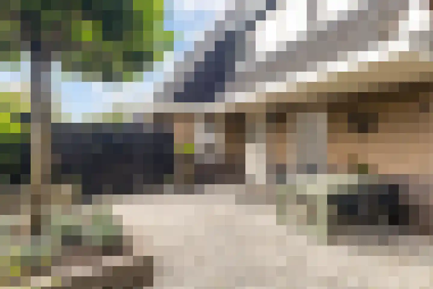 It Roster 12 Ingwierrum thumbnail 26
