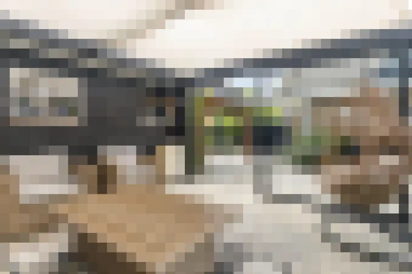 It Roster 12 Ingwierrum thumbnail 31