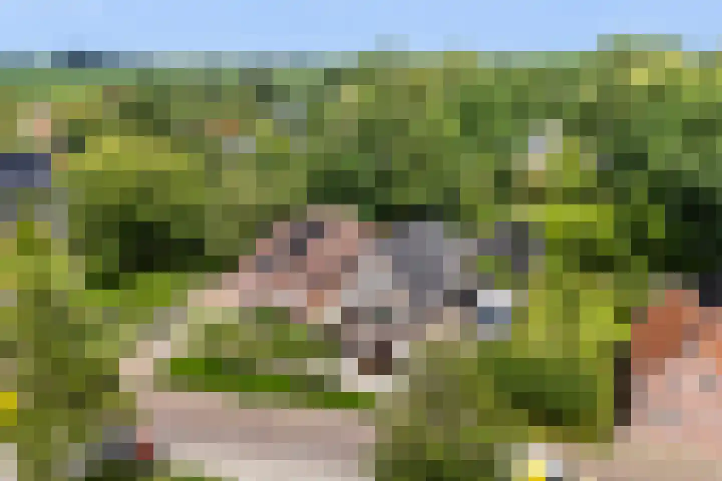 It Roster 12 Ingwierrum thumbnail 40