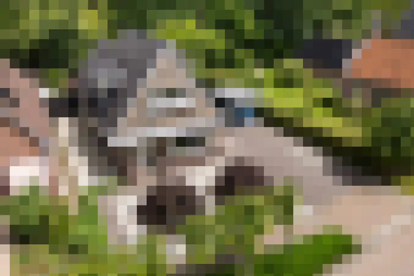 It Roster 12 Ingwierrum thumbnail 41