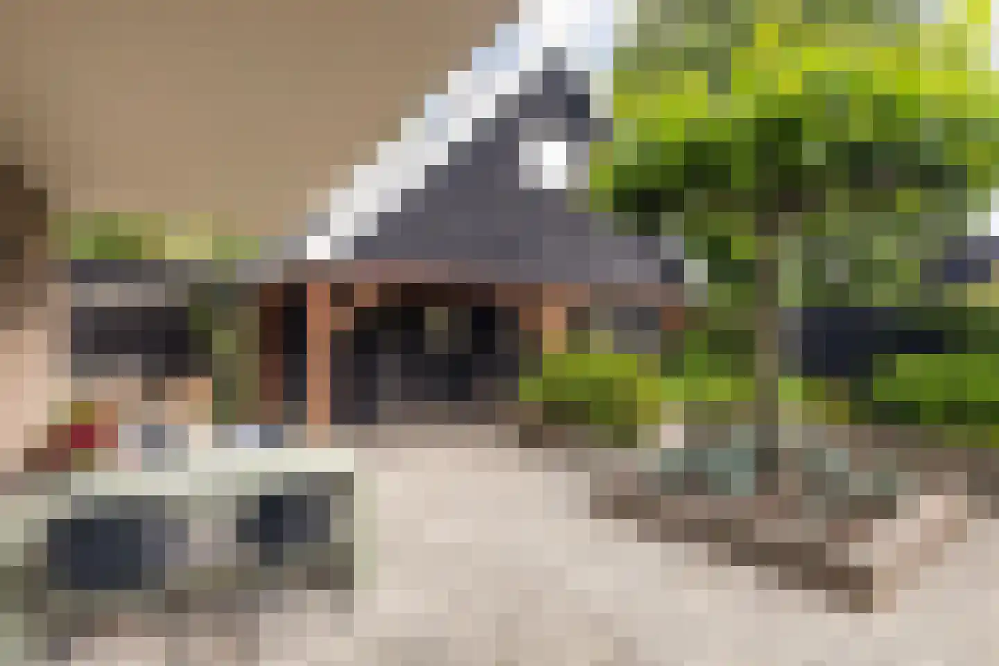 It Roster 12 Ingwierrum thumbnail 6