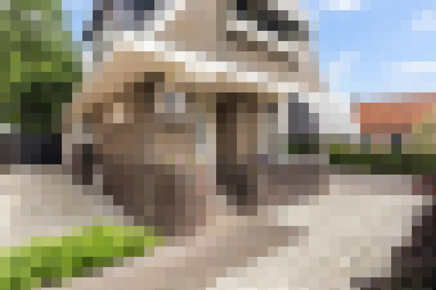 It Roster 12 Ingwierrum thumbnail 9
