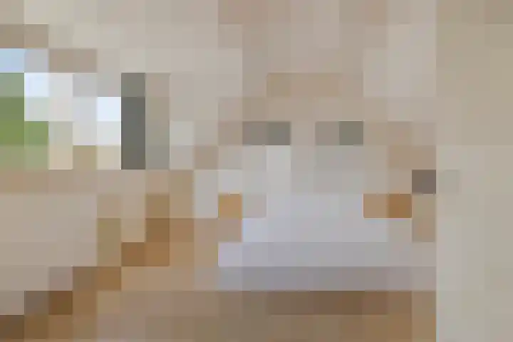 It Roster 26 Ingwierrum thumbnail 32