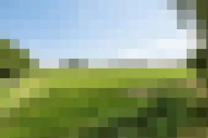 It Roster 26 Ingwierrum thumbnail 4