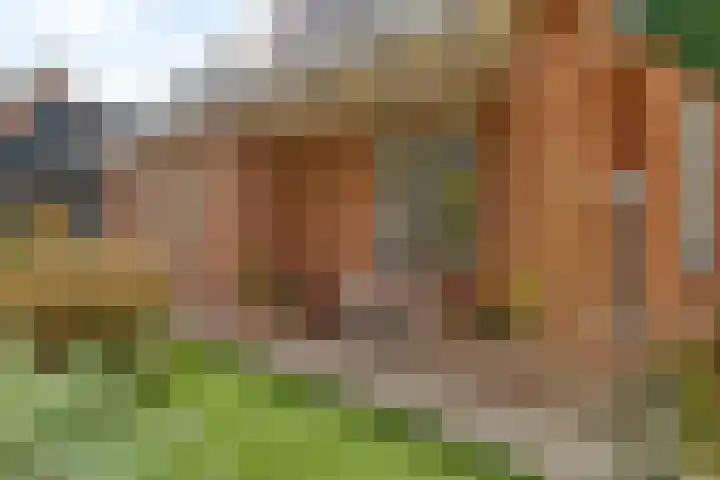 It Roster 26 Ingwierrum thumbnail 47