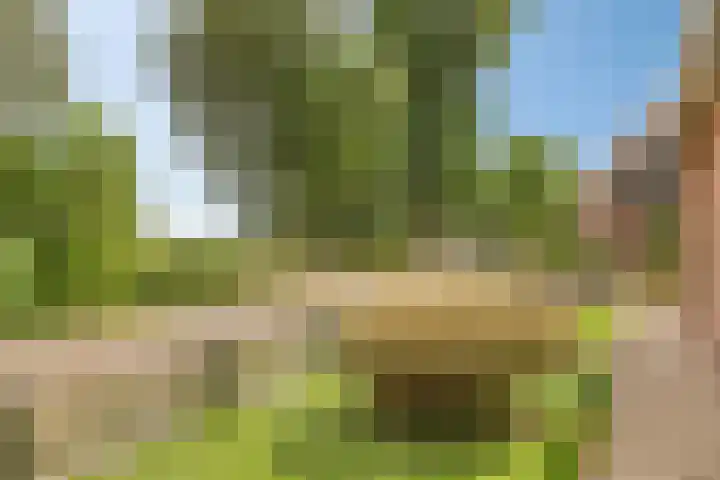 It Roster 26 Ingwierrum thumbnail 5