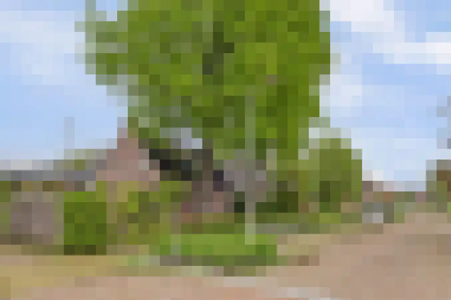 It Roster 4 Ingwierrum thumbnail 4