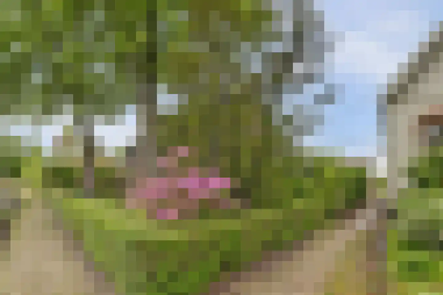 It Roster 4 Ingwierrum thumbnail 48