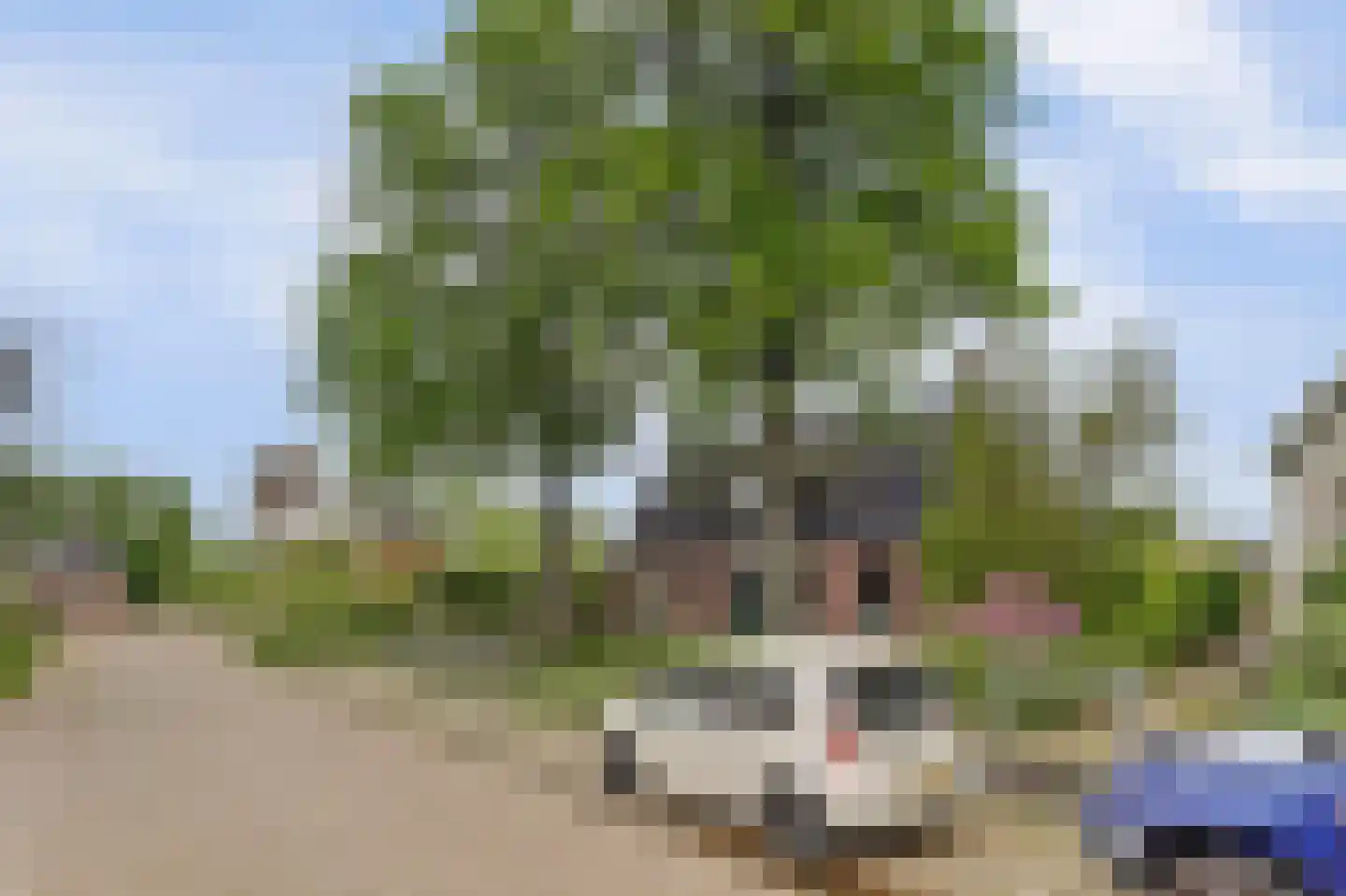 It Roster 4 Ingwierrum thumbnail 49