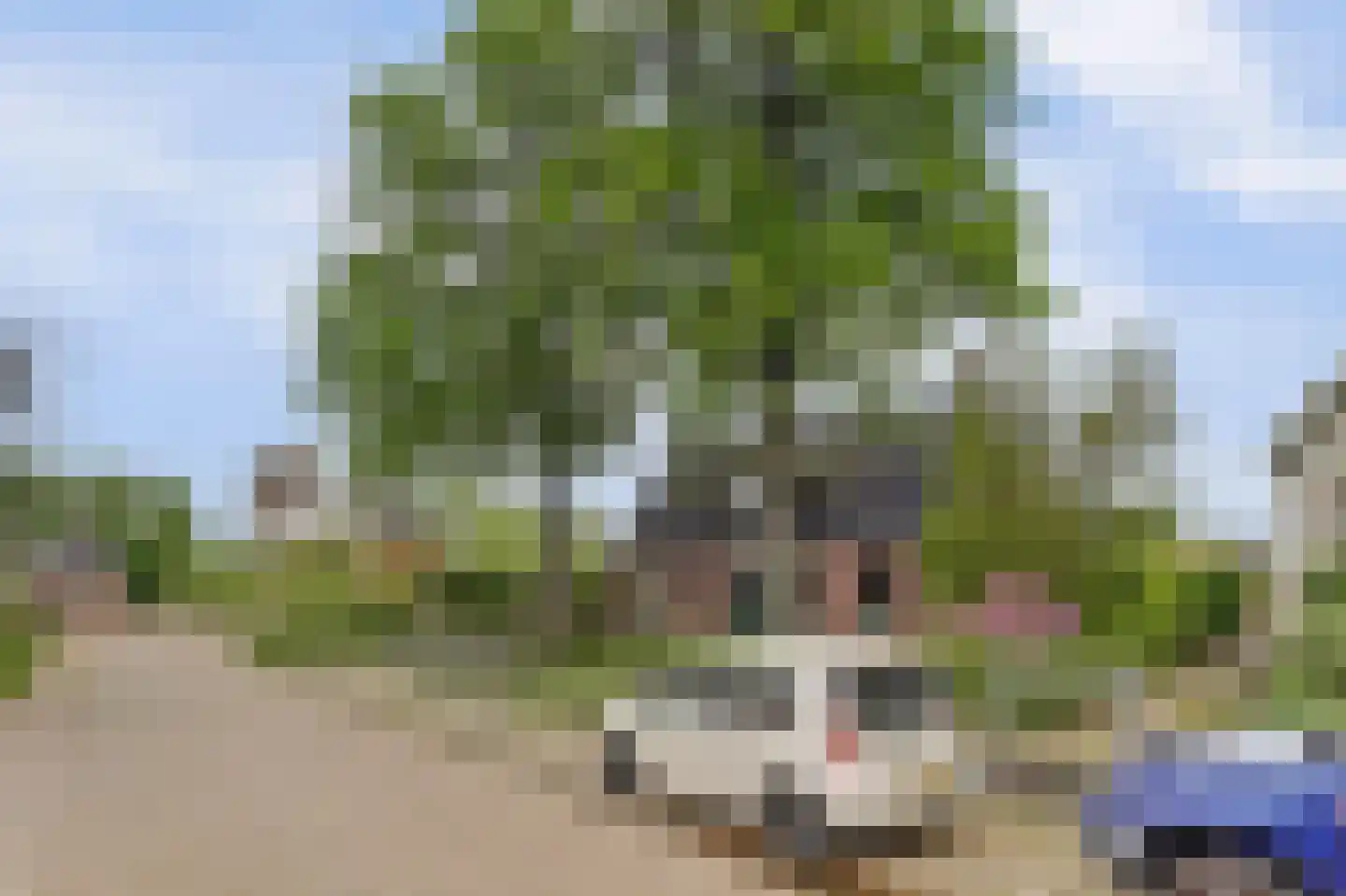 It Roster 4 Ingwierrum thumbnail 49