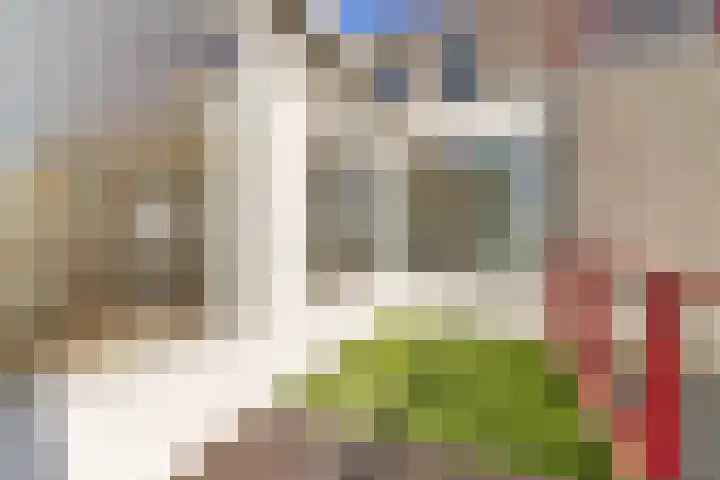 it Rûm 21 Heerenveen thumbnail 24