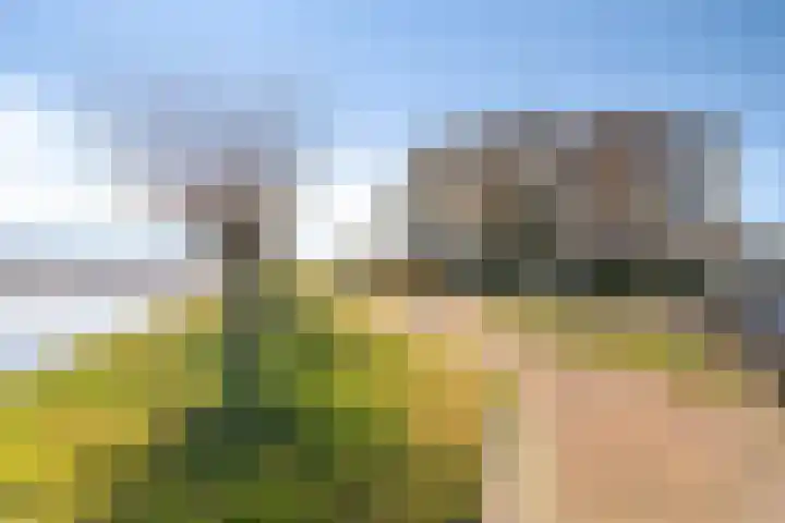 it Rûm 21 Heerenveen thumbnail 28