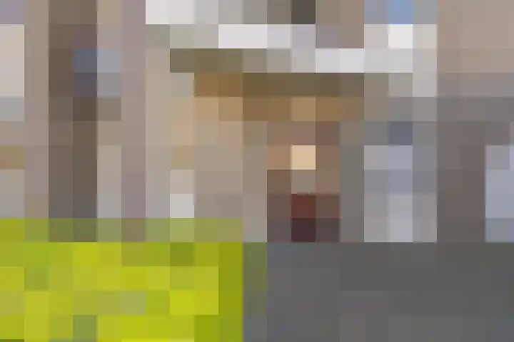 it Rûm 21 Heerenveen thumbnail 7
