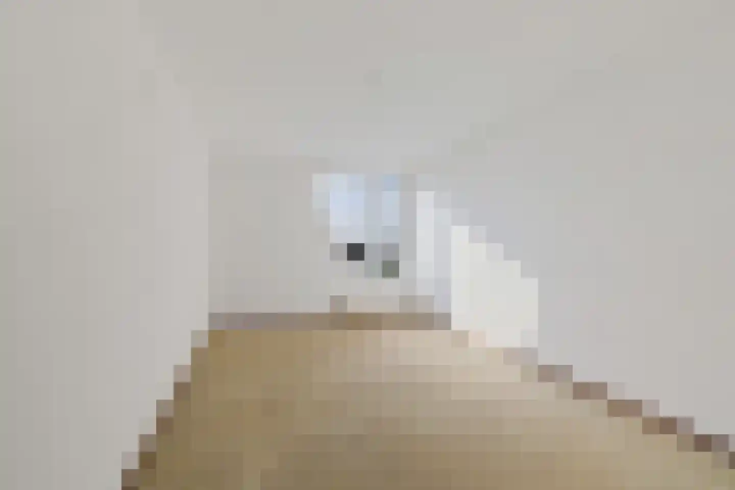 it Rûm 3 Heerenveen thumbnail 18