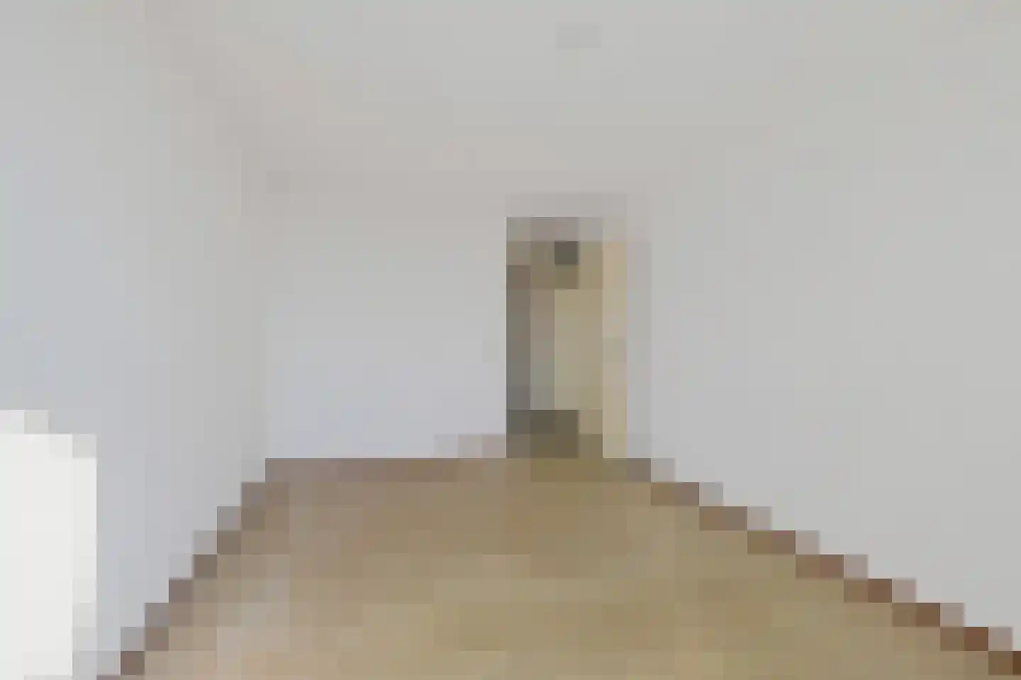 it Rûm 3 Heerenveen thumbnail 20