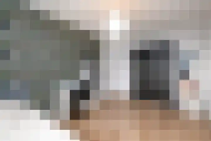 it Rûm 4 Heerenveen thumbnail 18