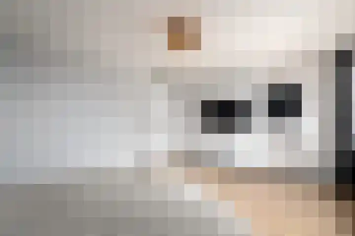 it Rûm 4 Heerenveen thumbnail 27