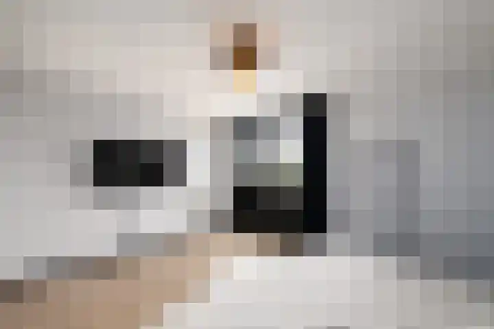 it Rûm 4 Heerenveen thumbnail 28