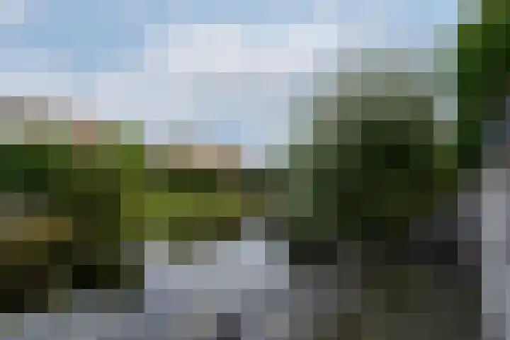 it Rûm 4 Heerenveen thumbnail 37