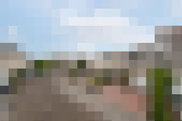 it Rûm 4 Heerenveen thumbnail 39