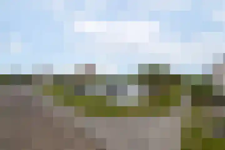 it Rûm 4 Heerenveen thumbnail 43