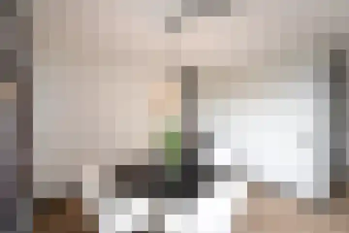 it Rûm 4 Heerenveen thumbnail 8