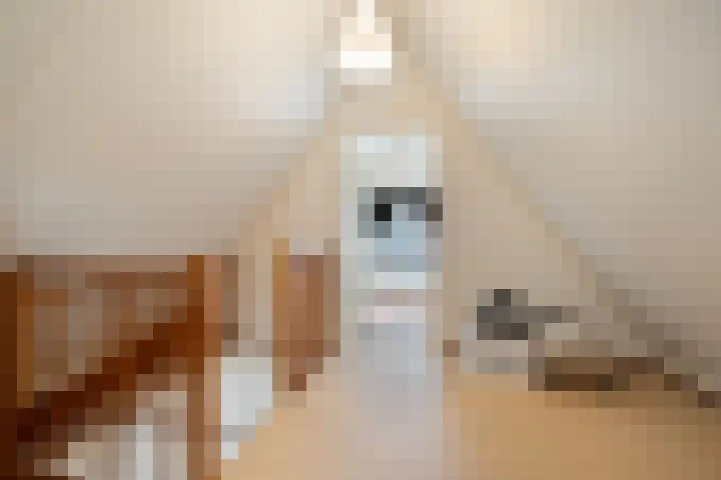 It Sein 30 Sint Nicolaasga thumbnail 25