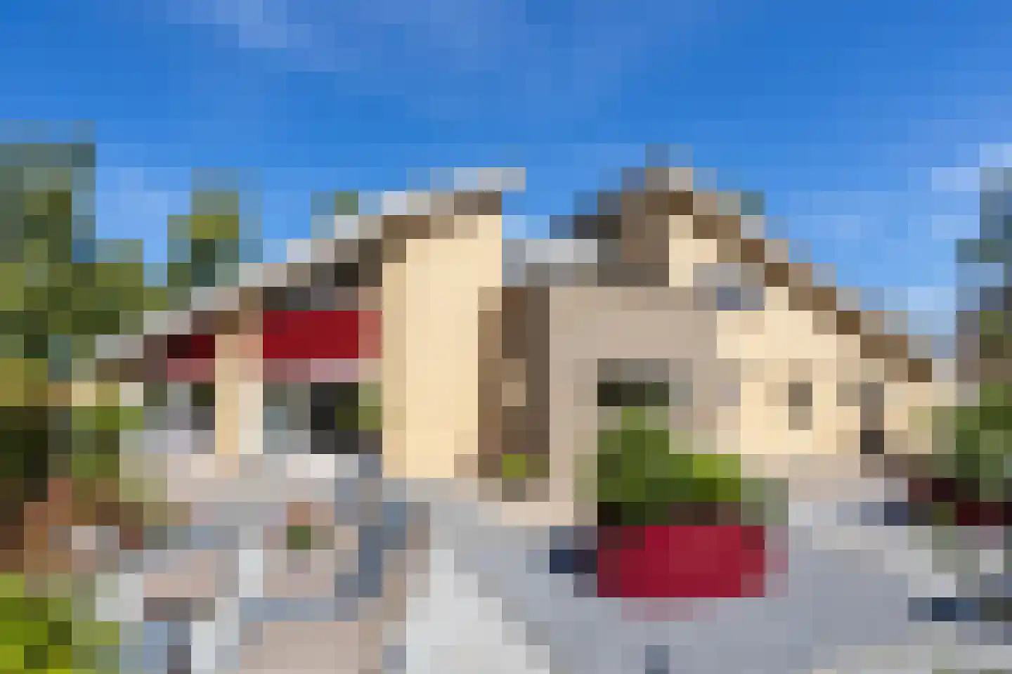 It Sein 45 Sint Nicolaasga thumbnail 54