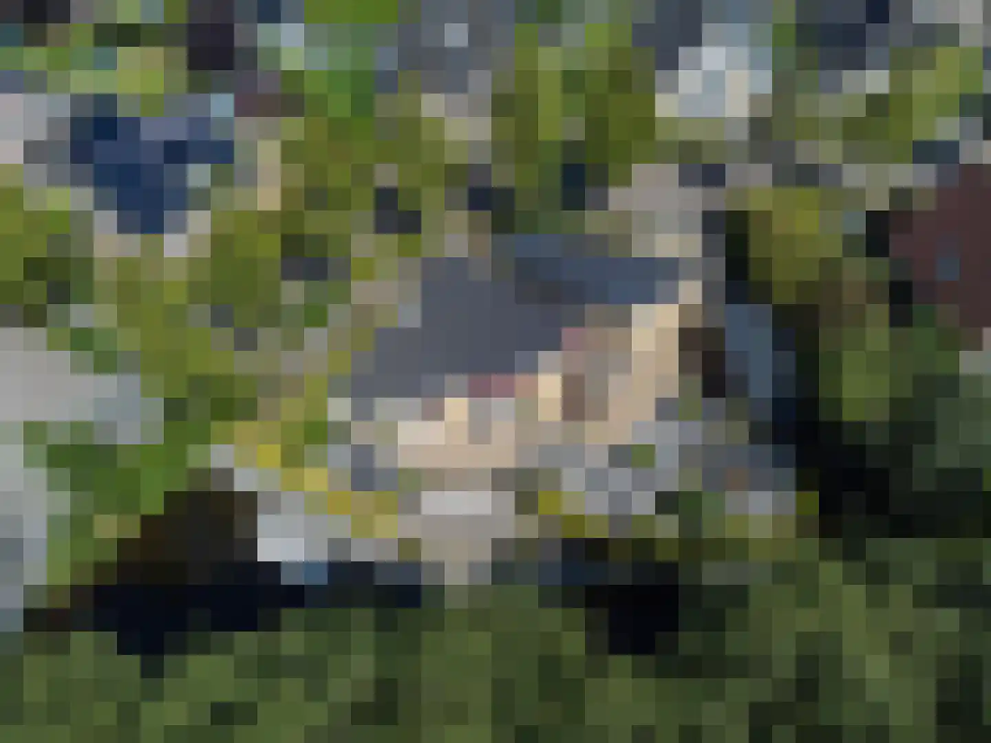 It Sein 45 Sint Nicolaasga thumbnail 64