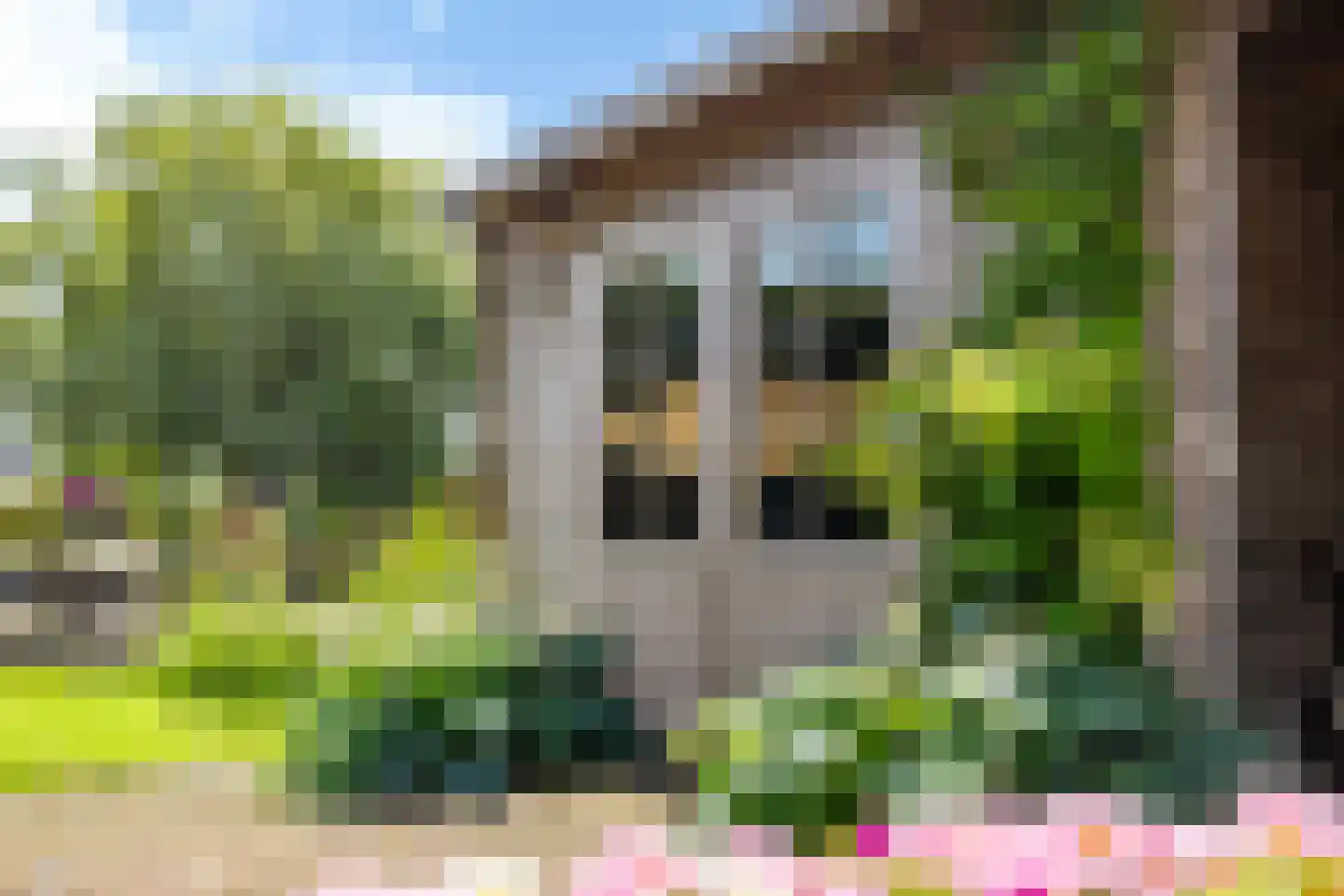 It Set 24 Goingarijp thumbnail 36