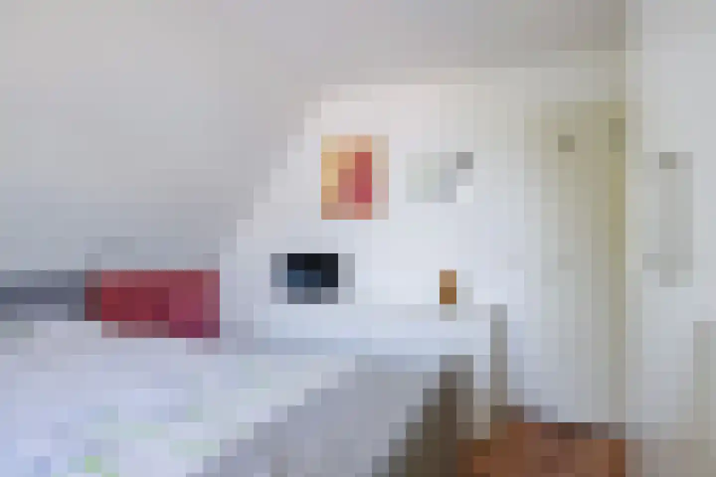It Set 24 Goingarijp thumbnail 47