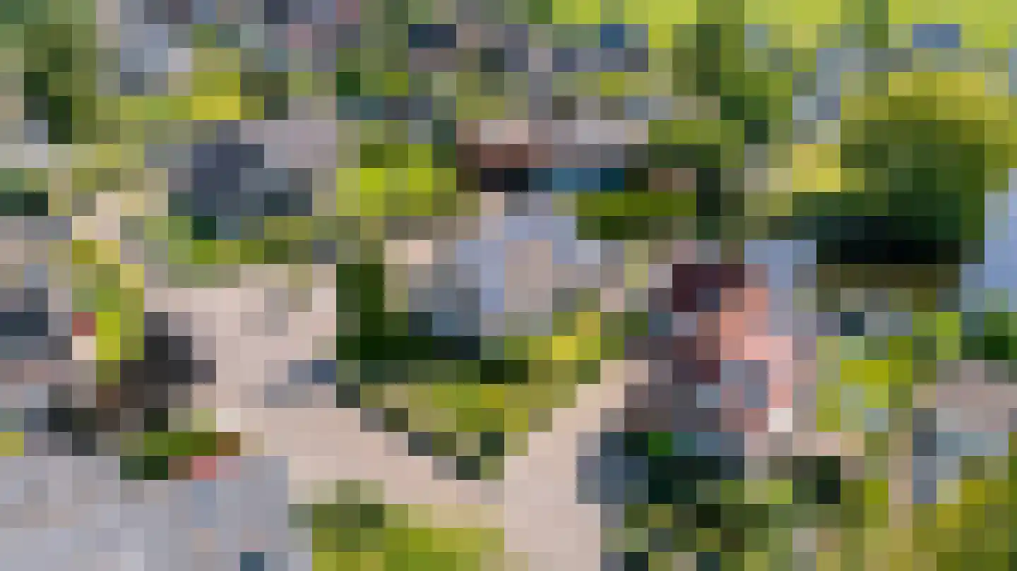 It Set 24 Goingarijp thumbnail 53