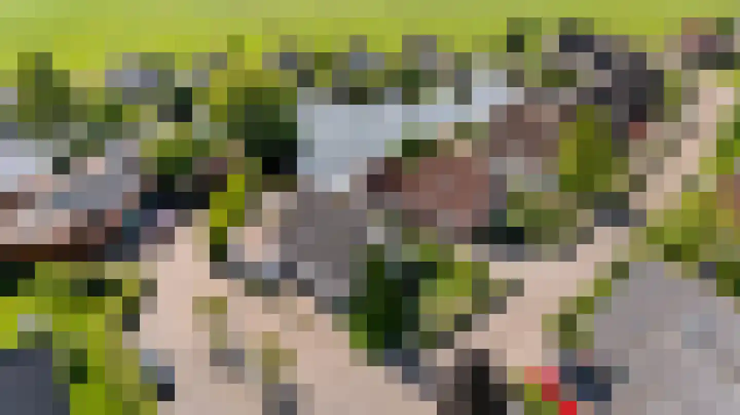 It Set 24 Goingarijp thumbnail 54