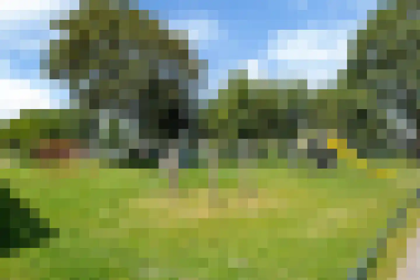 It Set 24 Goingarijp thumbnail 57