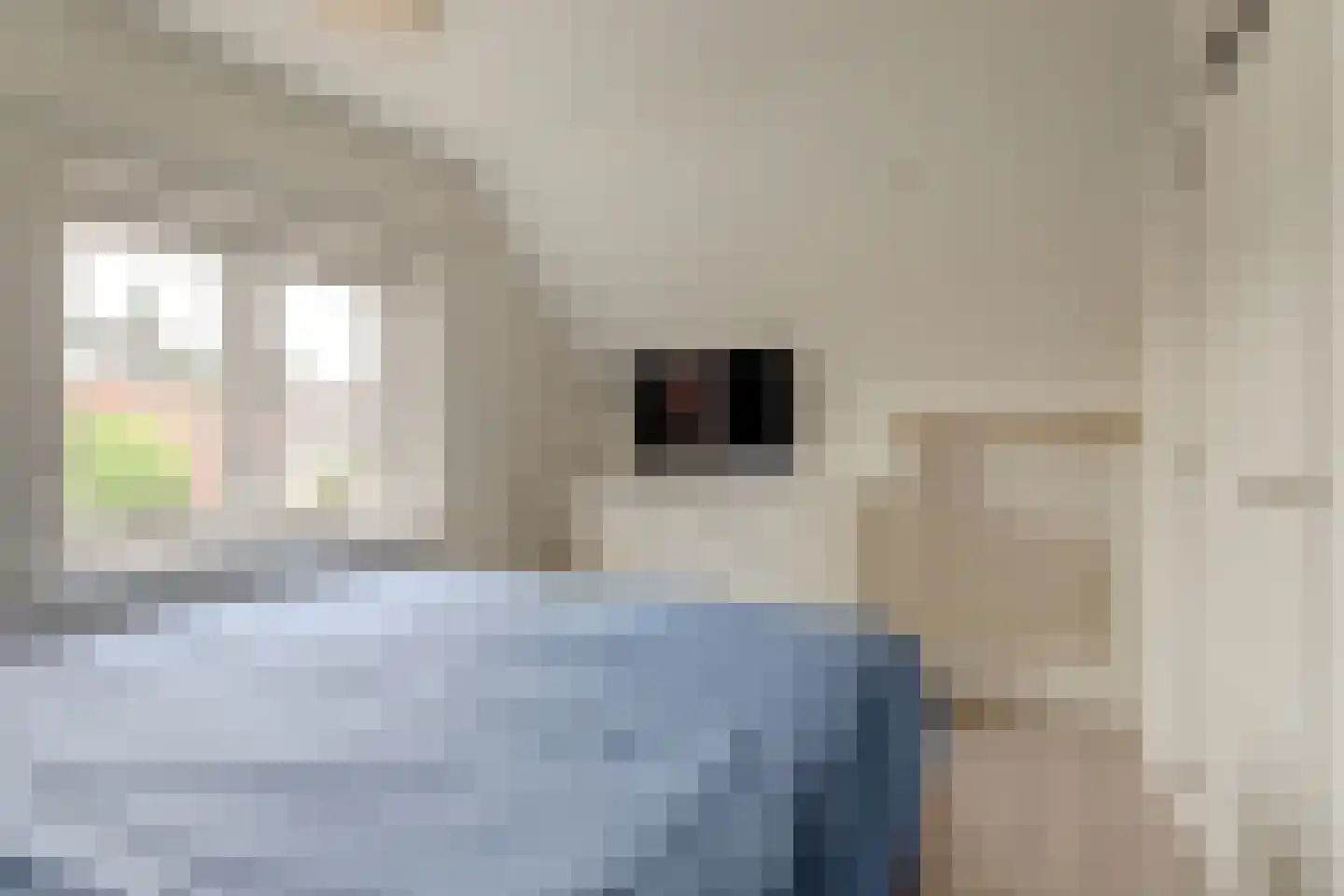 It Skil 2 Woudsend thumbnail 16