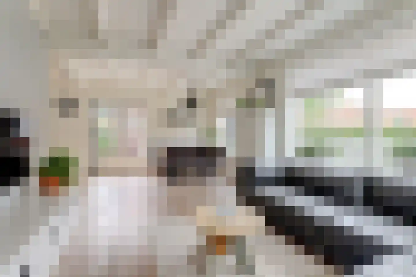 It Skil 2 Woudsend thumbnail 7