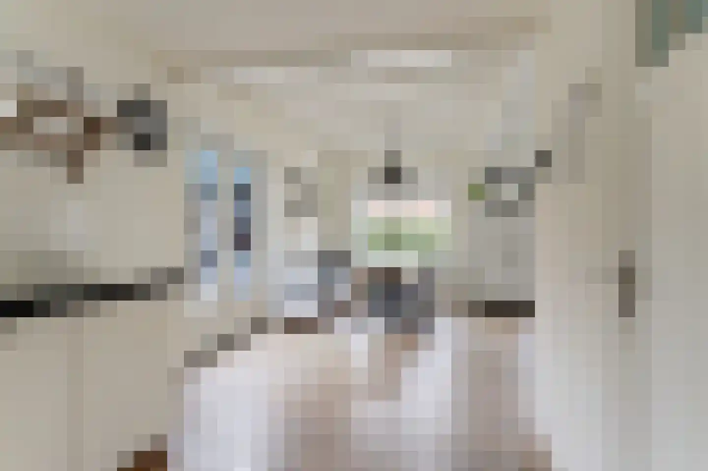 It Skil 2 Woudsend thumbnail 9