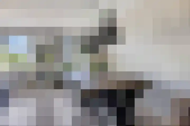 It Skoalpaed 13 Alde Leie thumbnail 10
