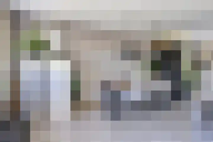 It Skoalpaed 13 Alde Leie thumbnail 11