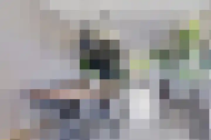 It Skoalpaed 13 Alde Leie thumbnail 12