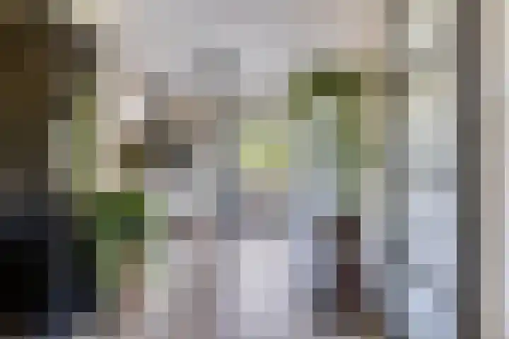 It Skoalpaed 13 Alde Leie thumbnail 13