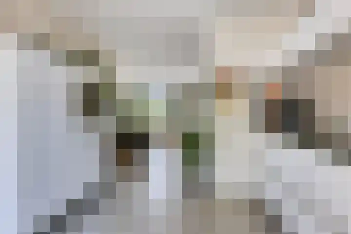 It Skoalpaed 13 Alde Leie thumbnail 14