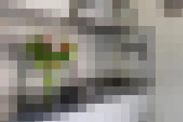 It Skoalpaed 13 Alde Leie thumbnail 15