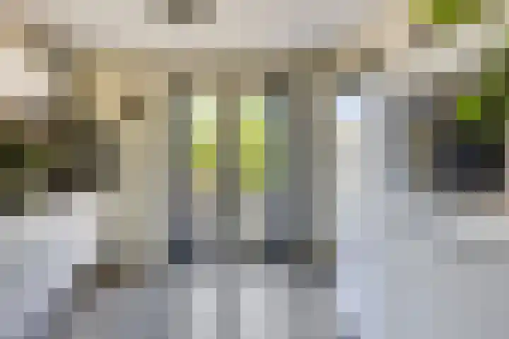 It Skoalpaed 13 Alde Leie thumbnail 16