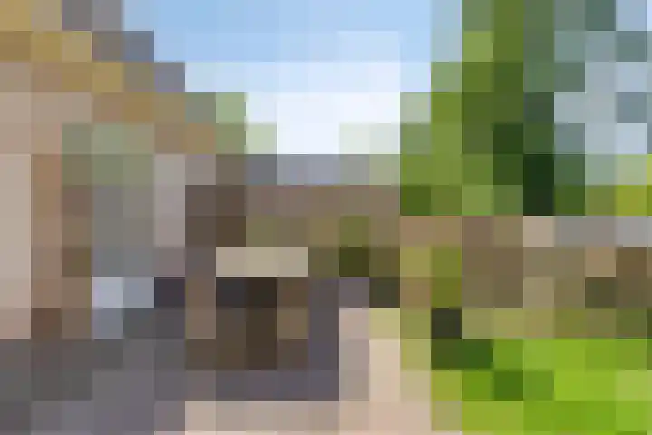 It Skoalpaed 13 Alde Leie thumbnail 32