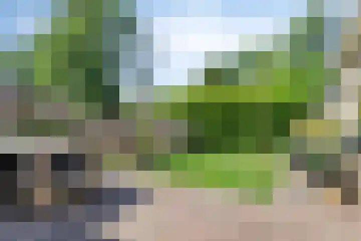 It Skoalpaed 13 Alde Leie thumbnail 34
