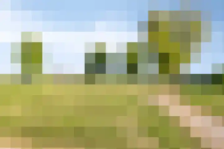 It Skoalpaed 13 Alde Leie thumbnail 38